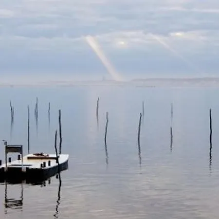 Arcachon, 6 Pieces, 10 Personnes - Fr-1-374-12 Hotel *